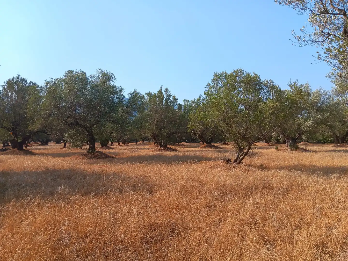 Residencial en venta en Tortosa