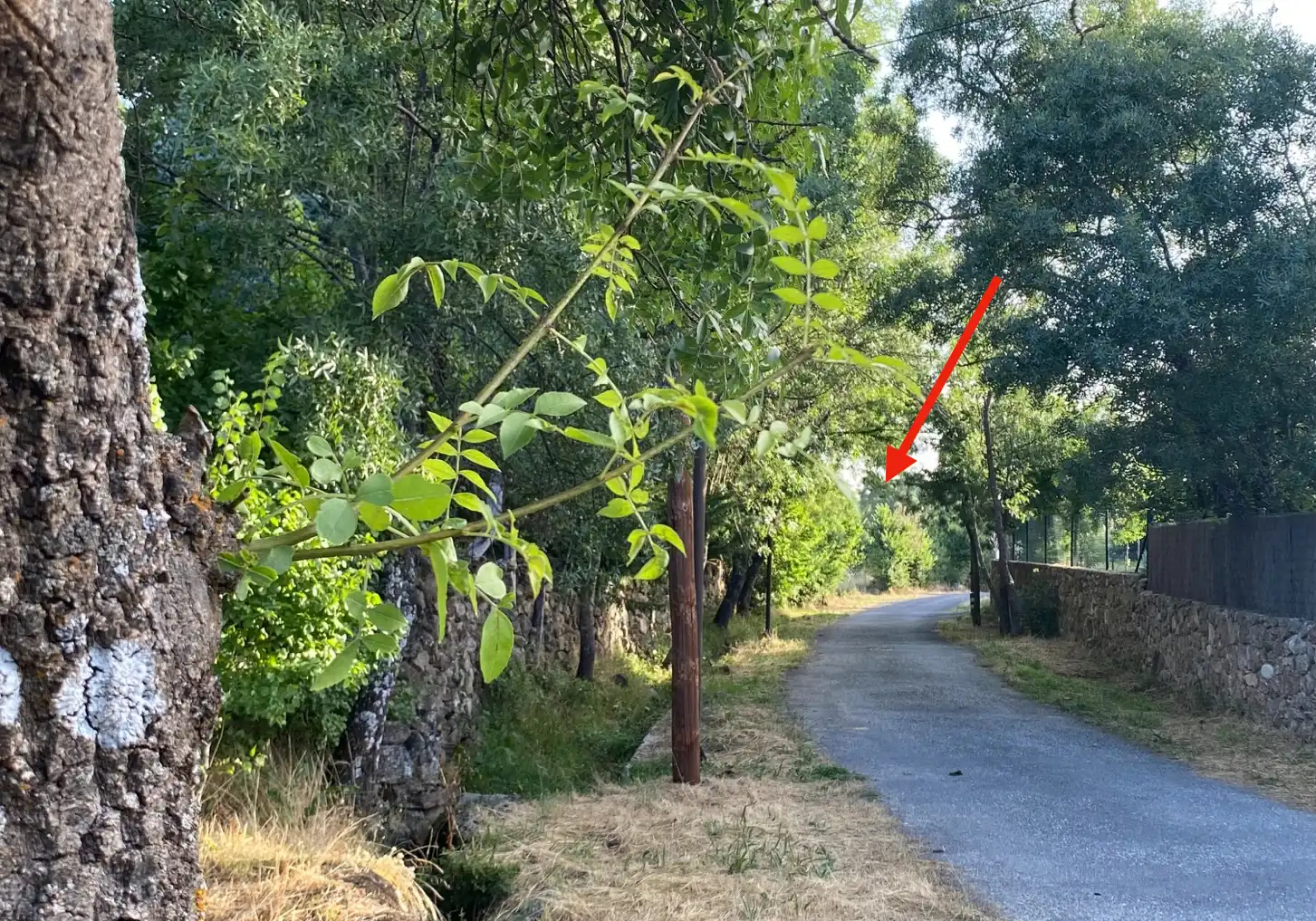 Casa o chalet en venta en Sotosalbos con Aire acondicionado y Calefacción