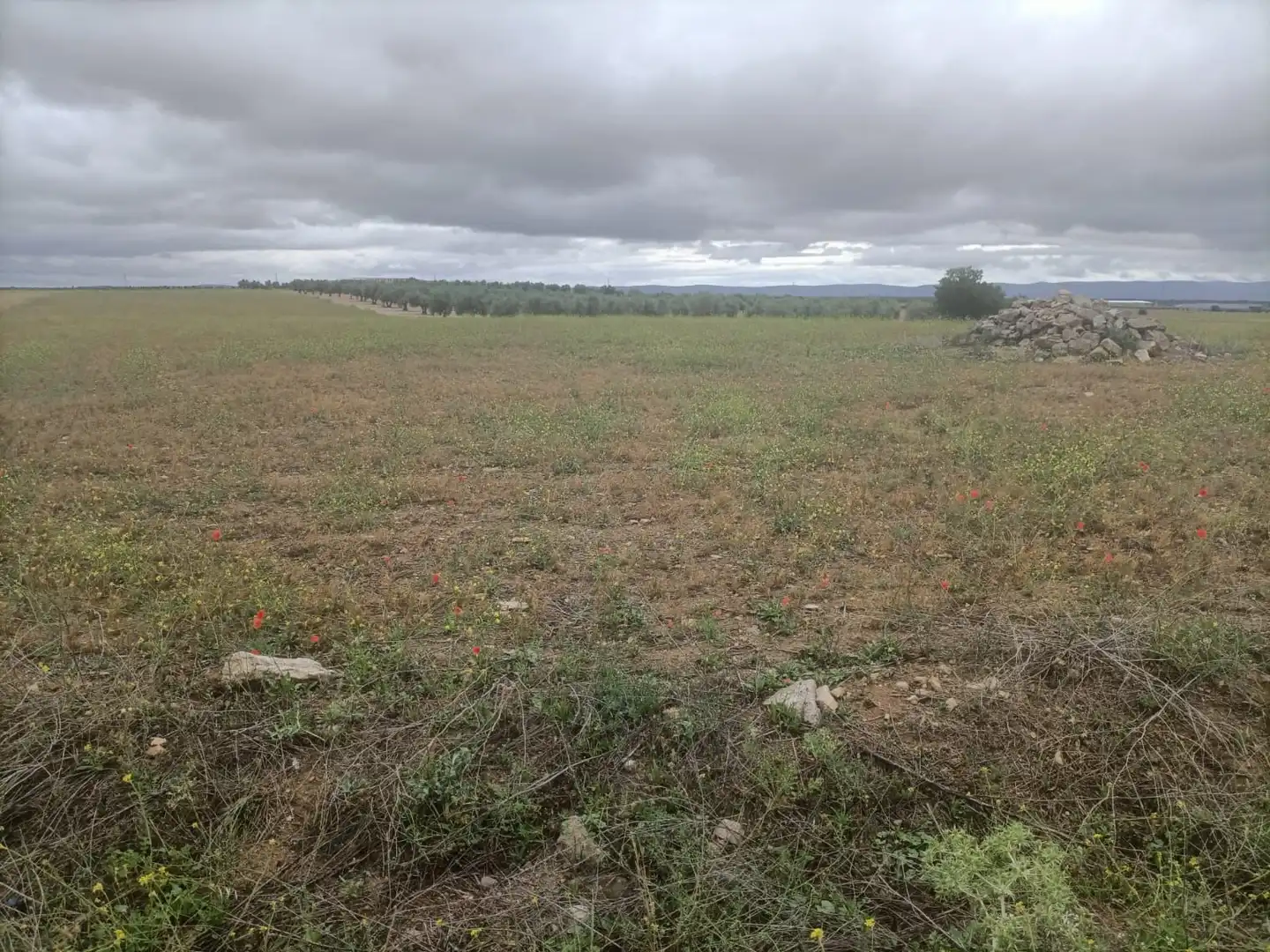 Rural land for sale in Almonacid de Toledo, imagen 5