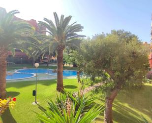 Jardí de Pis de lloguer en Alicante / Alacant amb Aire condicionat, Terrassa i Balcó