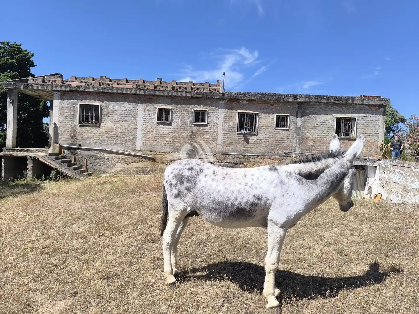 Vista exterior de Casa o chalet en venta en Córdoba