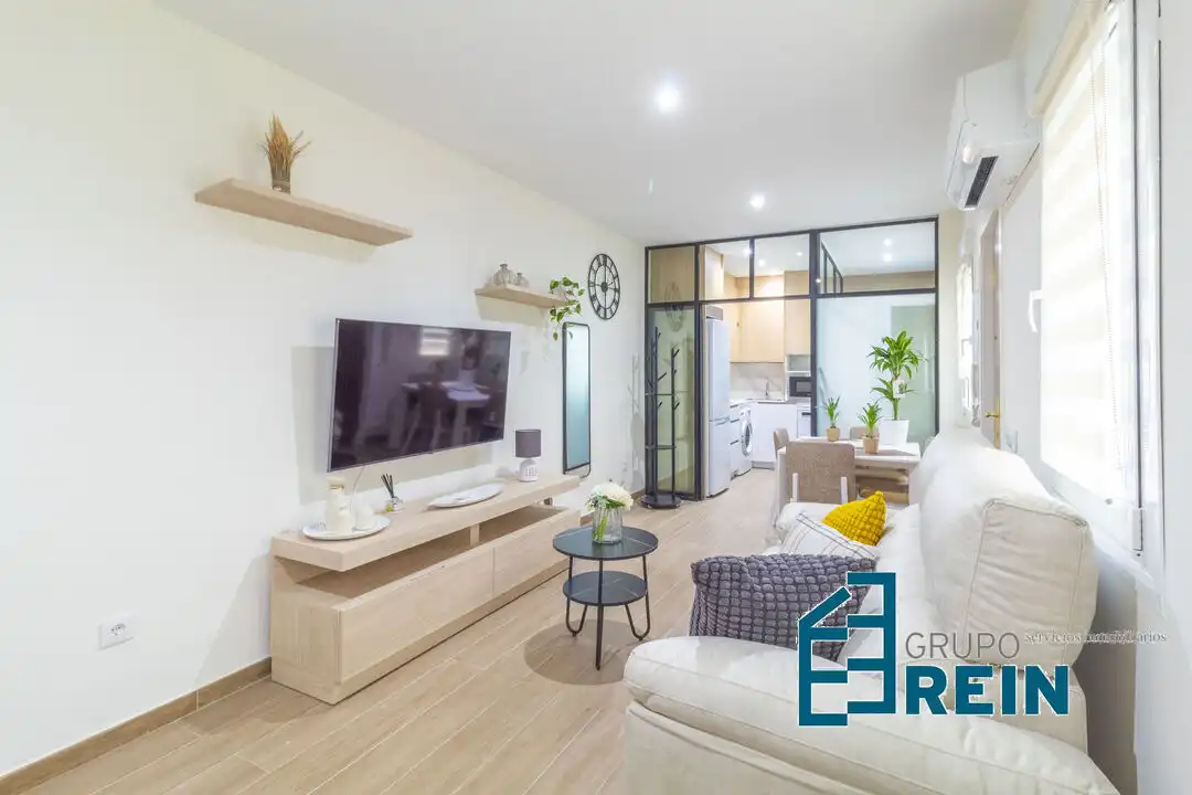 Sala de estar de Piso de alquiler en Madrid con Aire acondicionado y Calefacción