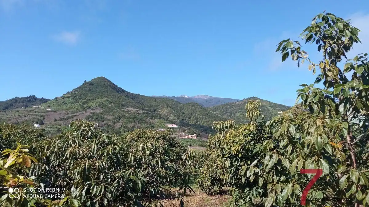 Vista exterior de Finca rústica en venda en Puntallana