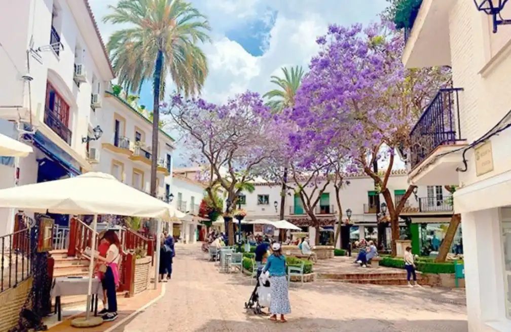 Inmuebles singulares en venta en Marbella Centro, imagen 21