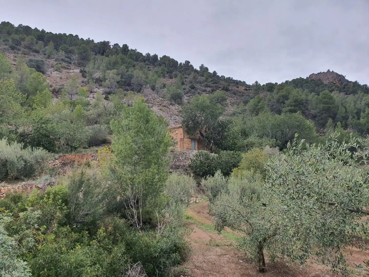 Maison à vendre à Benifallet, imagen 43