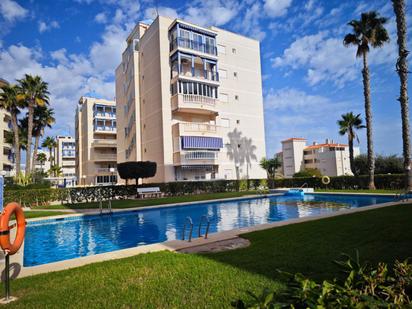 Vista exterior de Estudi en venda en Elche / Elx amb Terrassa i Piscina comunitària