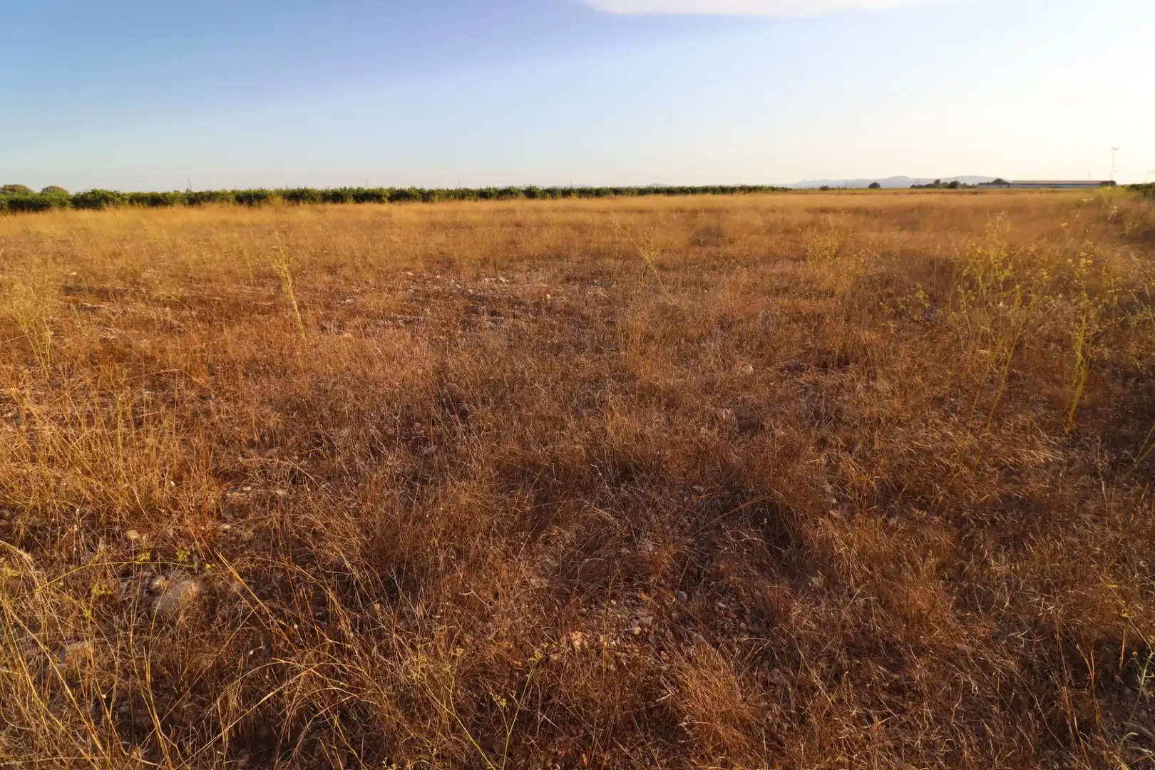 Rural land for sale in Traiguera, imagen 4