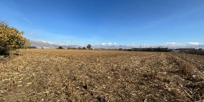 Terreny rústic en venda a Polígono Polígono, imagen 12