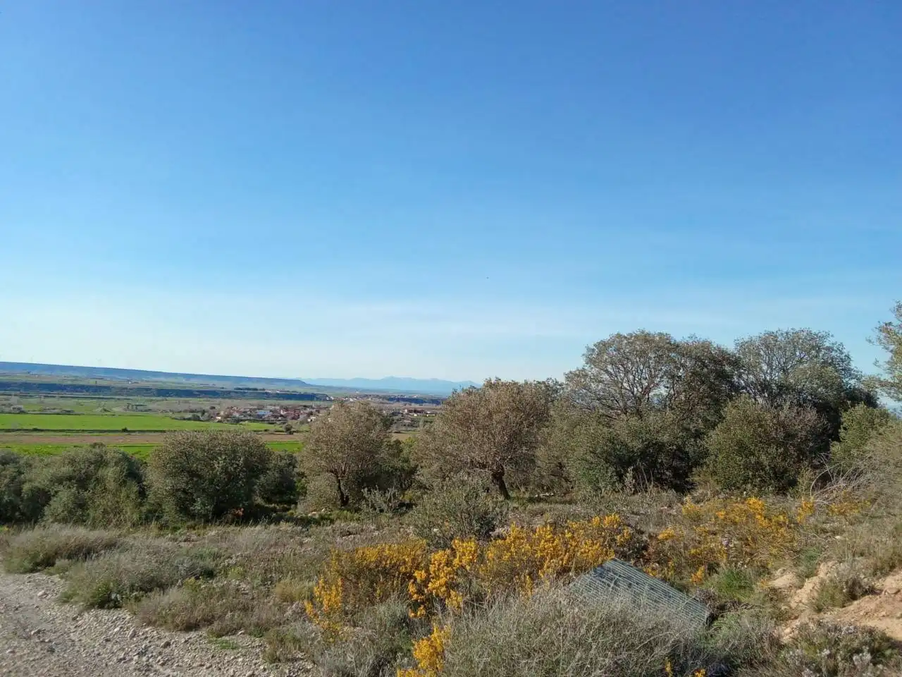 Terreno en venta en Alfántega