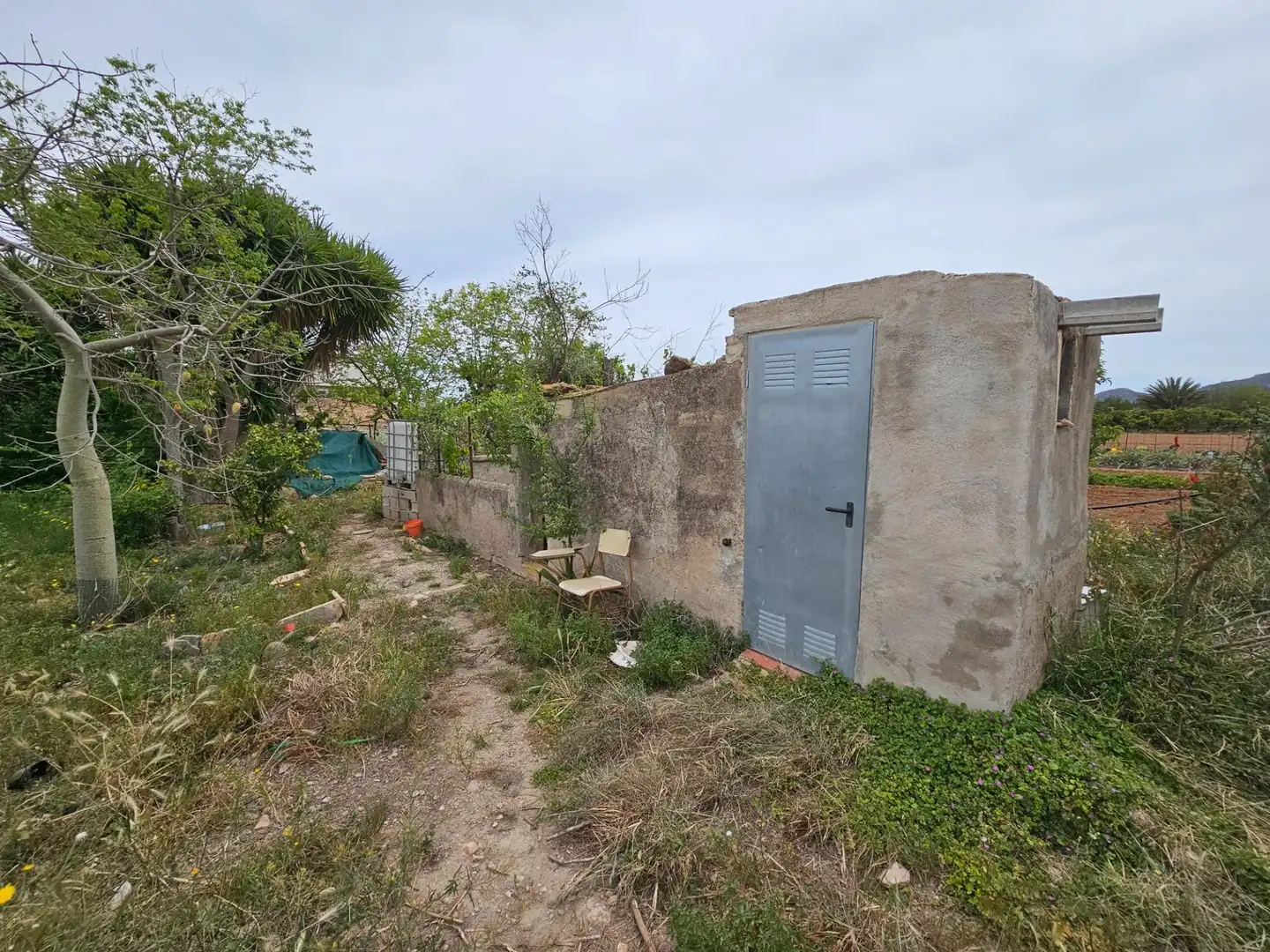 Landhaus zum Verkauf in Eucaliptus- Poble Nou del Delta, imagen 30