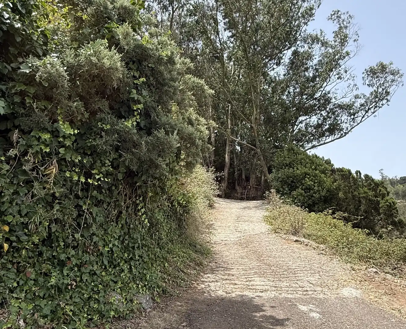 Rural land for sale in Tegueste, imagen 46