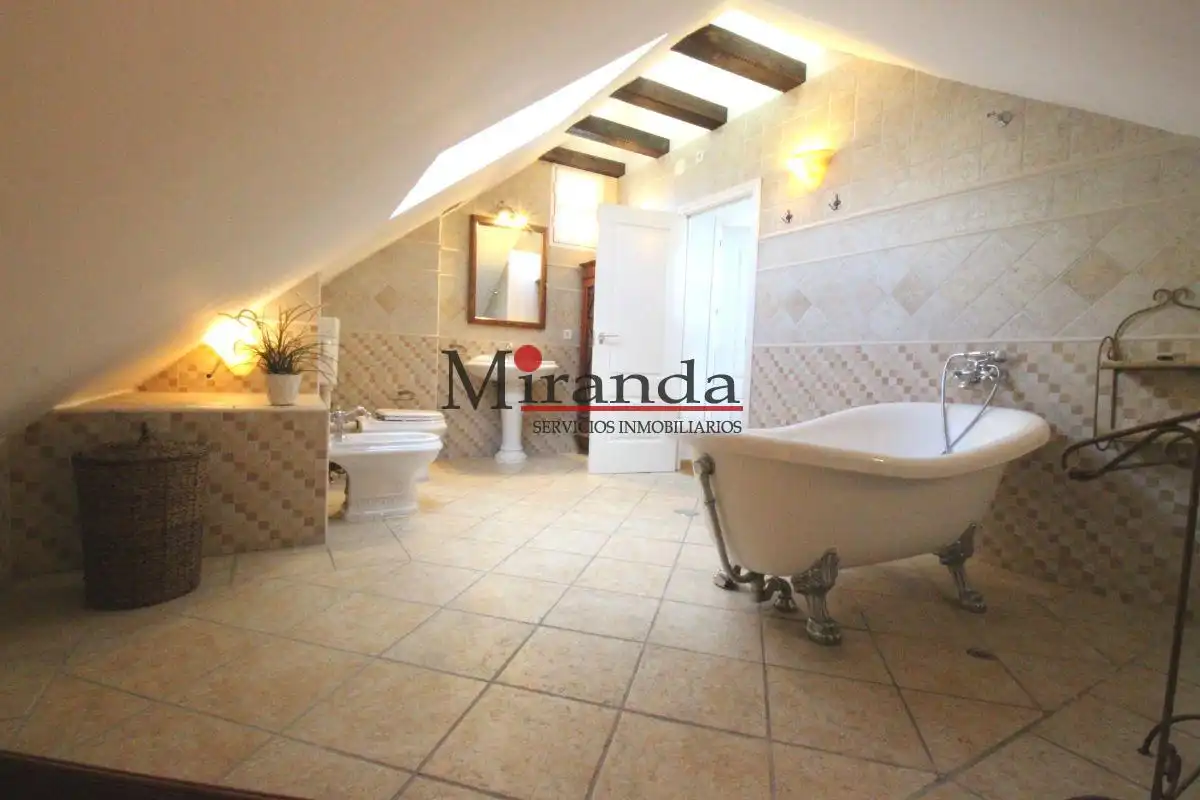 Houses for rent in Centro