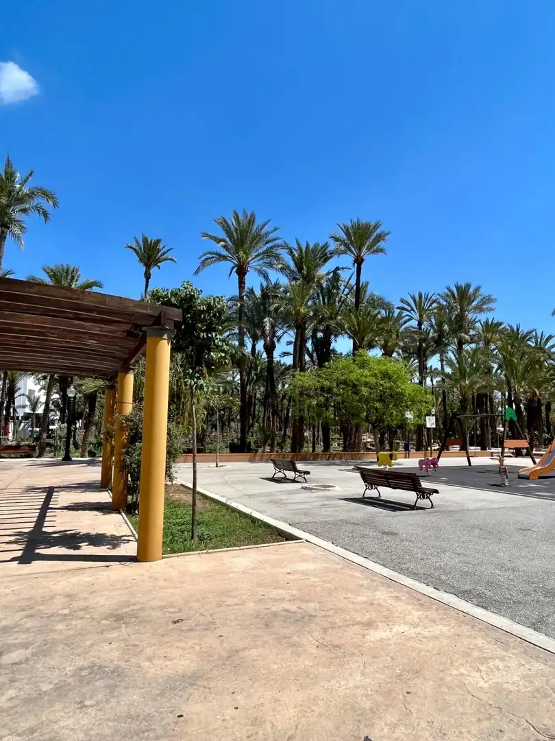 Wohnung mit Terrasse zum Verkauf in Elche ciudad, imagen 16