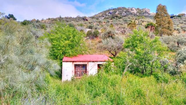 Terreno en Venta en Comares
