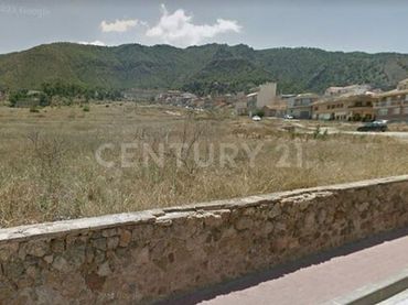 Terreno rustico in vendita a Calle Finca 4