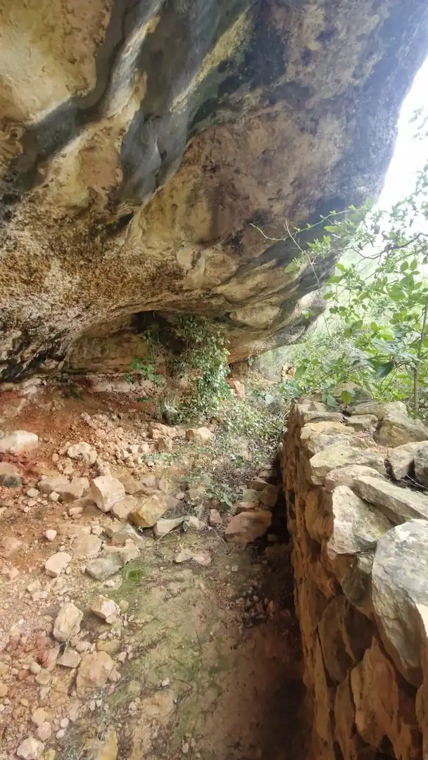 Terrain rustique à vendre à Vinebre, imagen 22