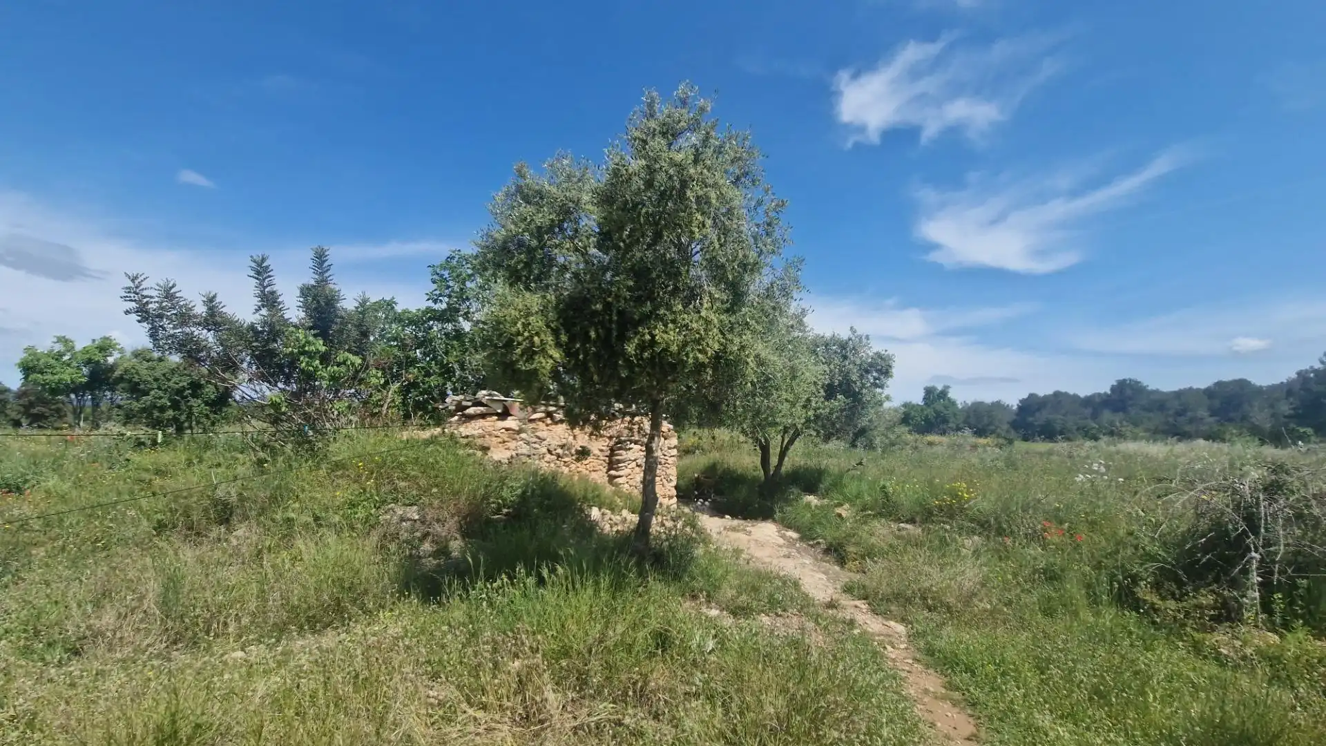 Terreno rustico in vendita a Valls, imagen 4