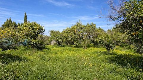 Foto 3 de Terreno en venta en Carrer Trinquet, 7, Benimeli, Alicante