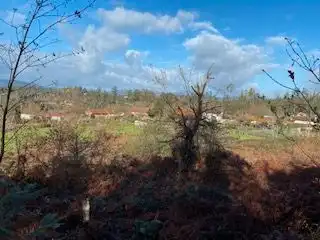 House for sale in Salvaterra de Miño, imagen 3