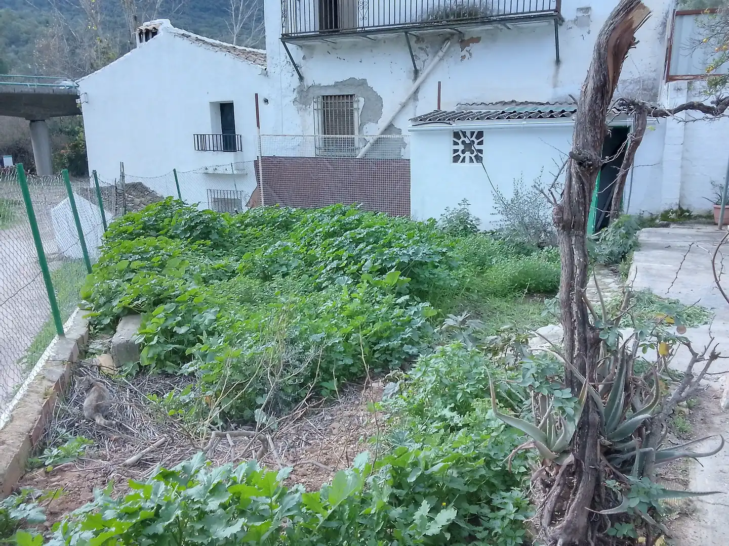 Casa rústica amb jardí en venda a Benaocaz, imagen 15