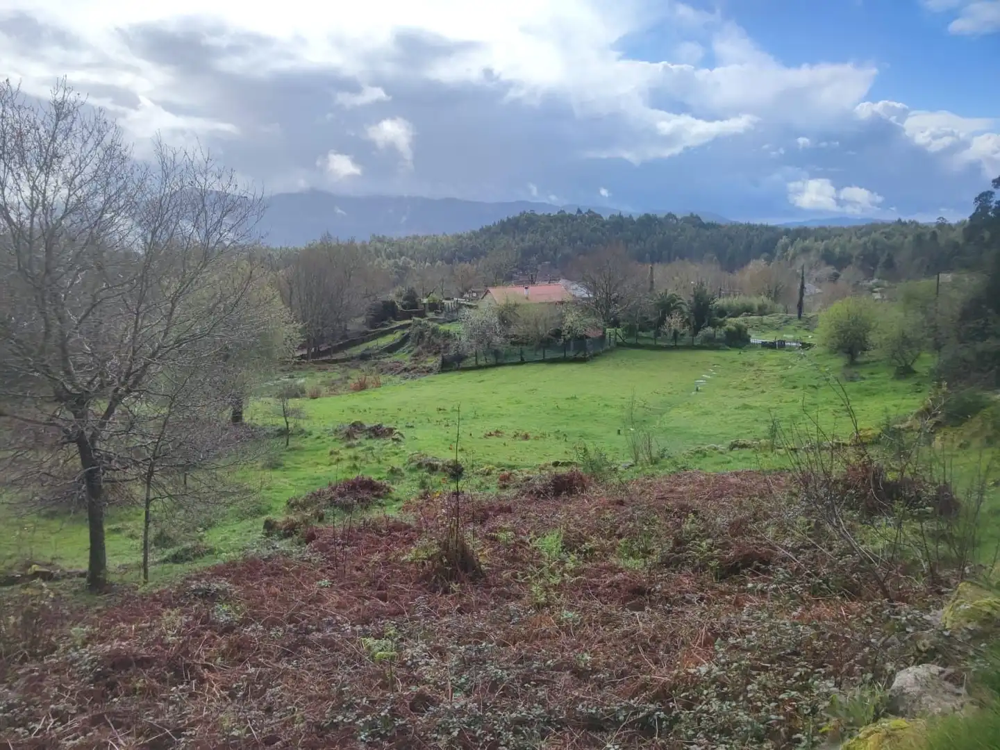 Terreno rustico in vendita a Ponte Caldelas, imagen 19