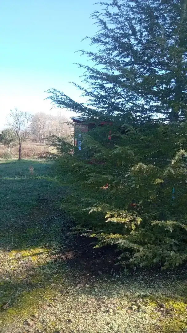Grundstücke zur Miete in Piedrabuena