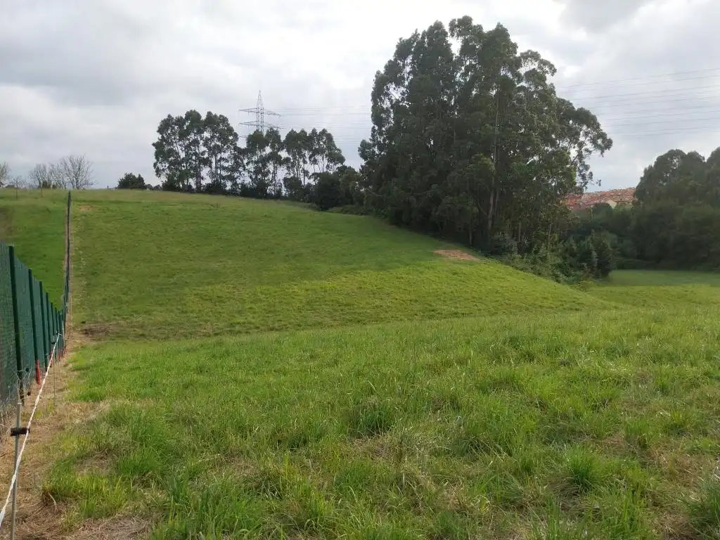 Terreno rustico in vendita a Camino de Caliero, imagen 21