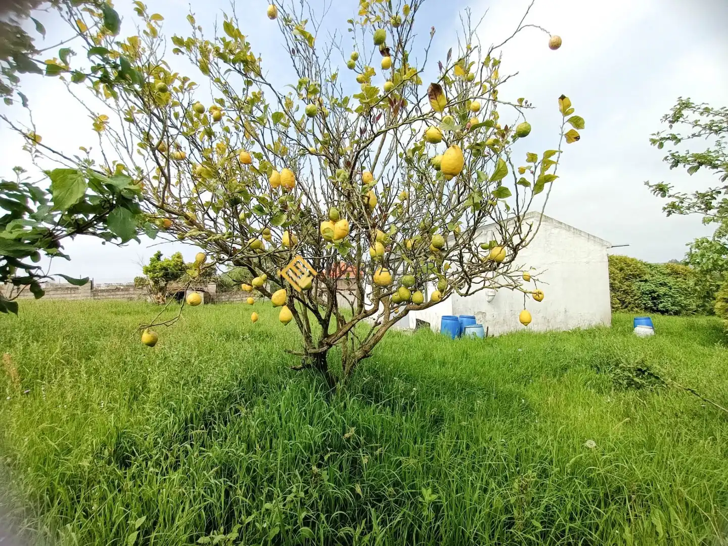 Terreni e lotti in vendita a Bezana - Prezanes, imagen 5