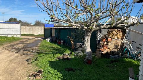 Foto 4 de Residencial en venta en Carretera Carretera de Camposoto, Cobreros Viejo, San Fernando