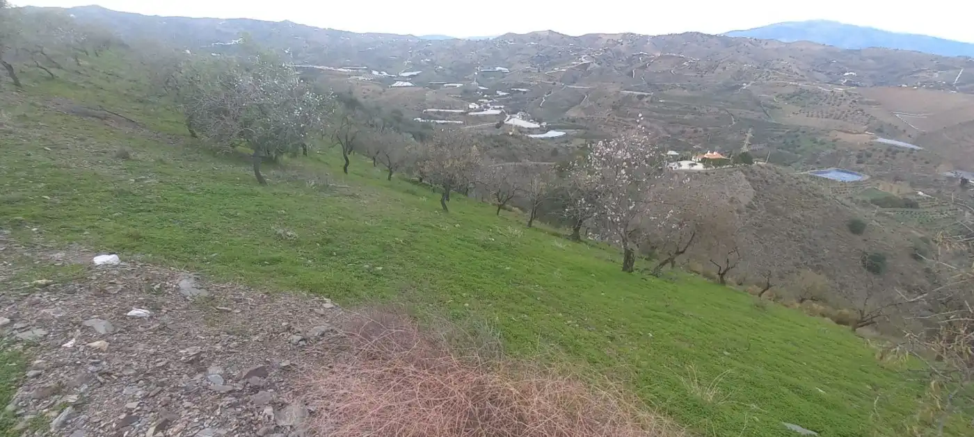 Terreni e lotti in vendita a Benajarafe, imagen 5