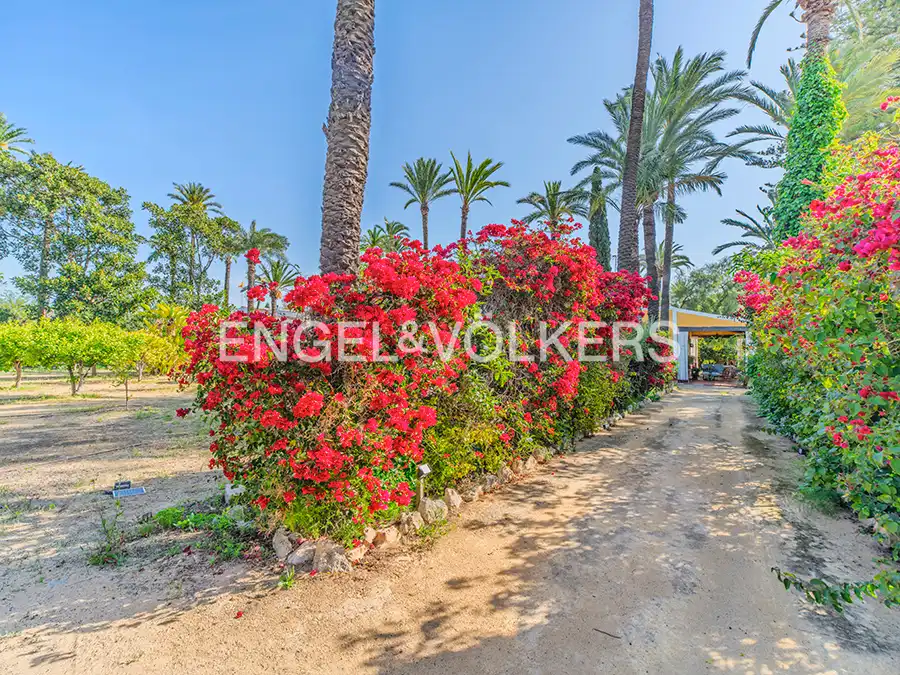 Vista exterior de Casa o xalet en venda en Elche / Elx amb Calefacció, Jardí privat i Terrassa