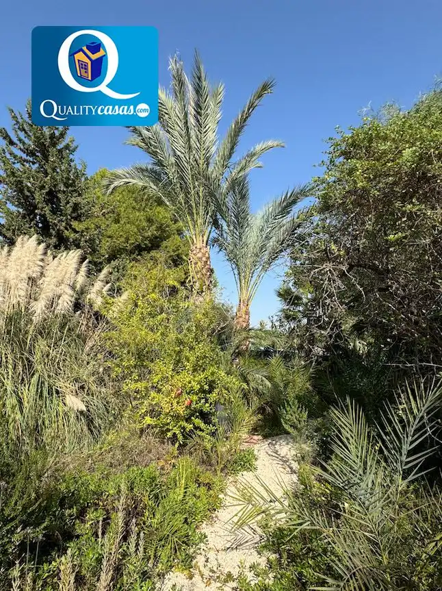 Chalet en venta en La Algoda - Matola - Llano de San José, imagen 34