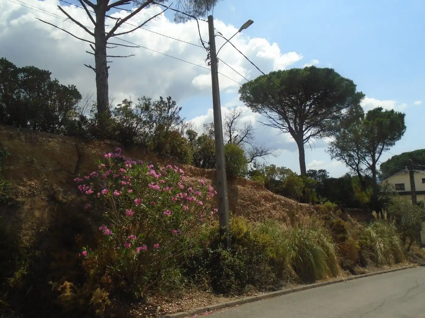 Exterior view of Residential for sale in Riells i Viabrea
