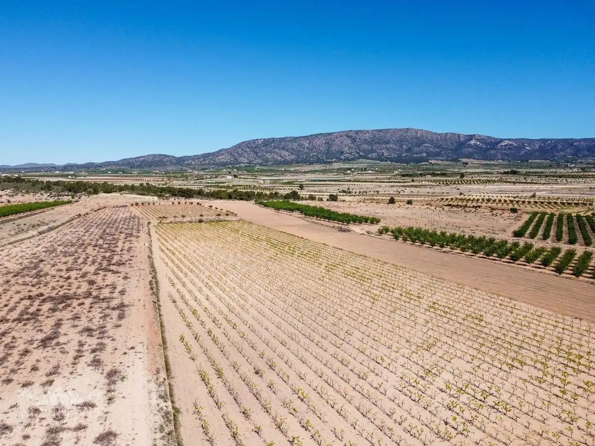 Terreno residencial en venta en El Pinós / Pinoso, imagen 30