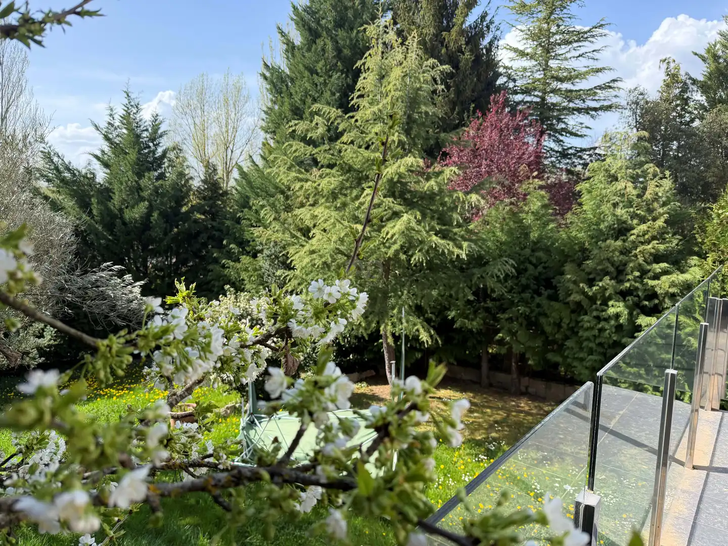Jardí de Casa o xalet en venda en Sariegos amb Calefacció, Terrassa i Piscina