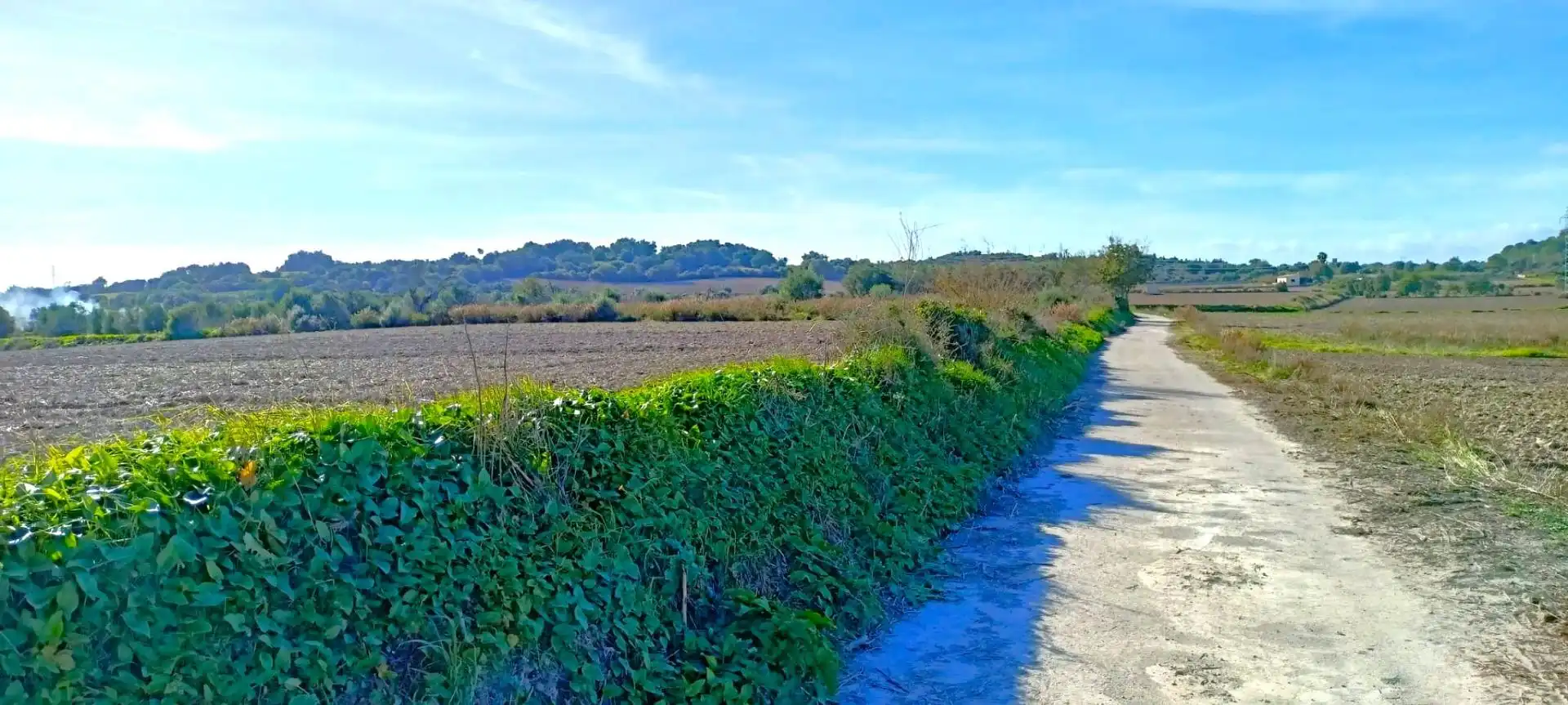 Wohnbaugrundstück zum Verkauf in Muro, imagen 6