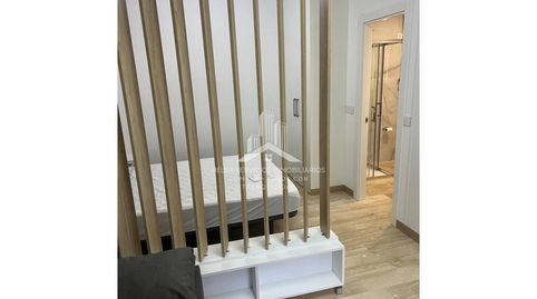 Photo 5 of Study for rent in Carretera Borriol, Estación - Universidad, Castellón de la Plana / Castelló de la Plana