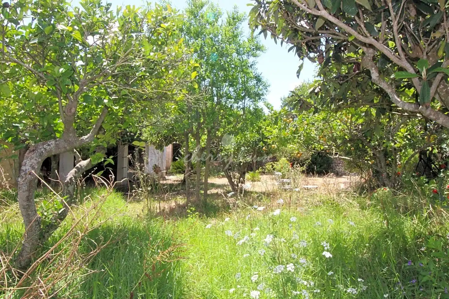Maison rustique à vendre à lloret de vista alegre, imagen 44