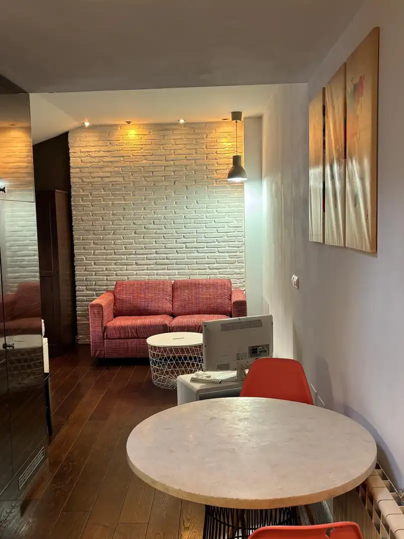 Sala de estar de Estudio de alquiler en Madrid con Aire acondicionado, Calefacción y Amueblado