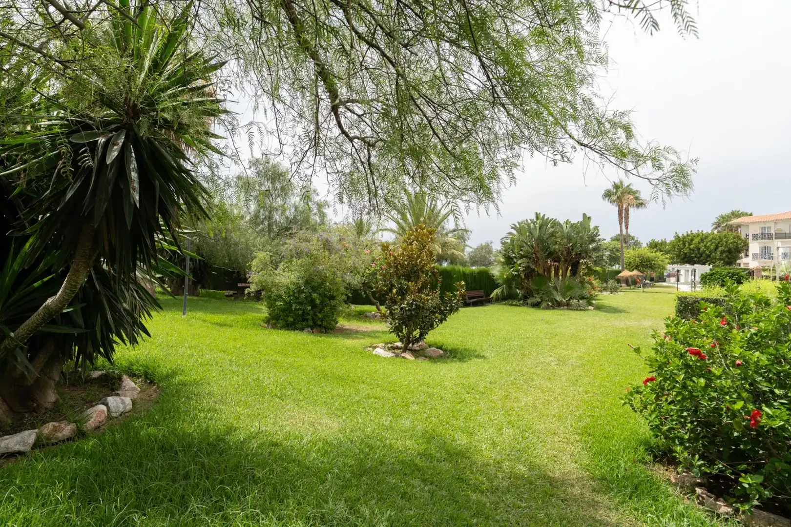 House with terrace for sale in Calle Calle Andrómeda, imagen 31