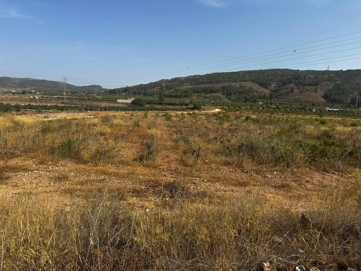 Terreno residencial en venta en El Pinós / Pinoso, imagen 16