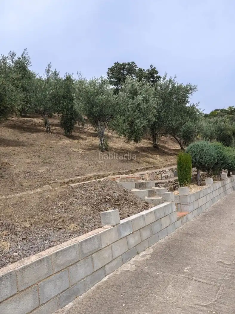 Xalet amb jardí en venda a Calle Carrera de la Virgen 22, imagen 13
