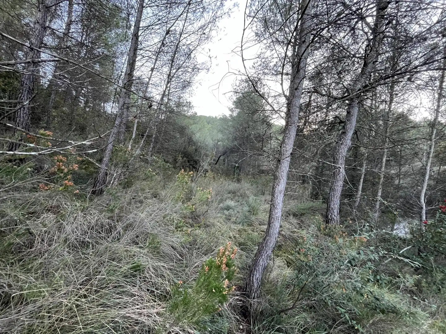 Wohnbaugrundstück zum Verkauf in de Can Prat 61, imagen 2