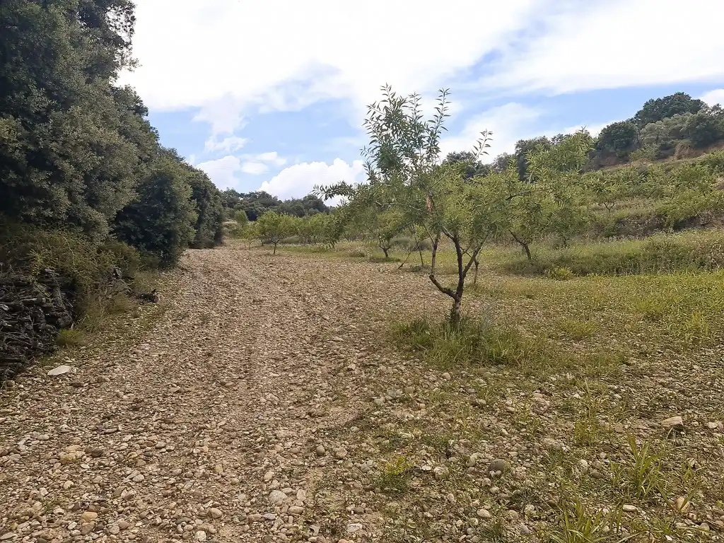 Residential land for sale in La Puebla de Castro, imagen 8