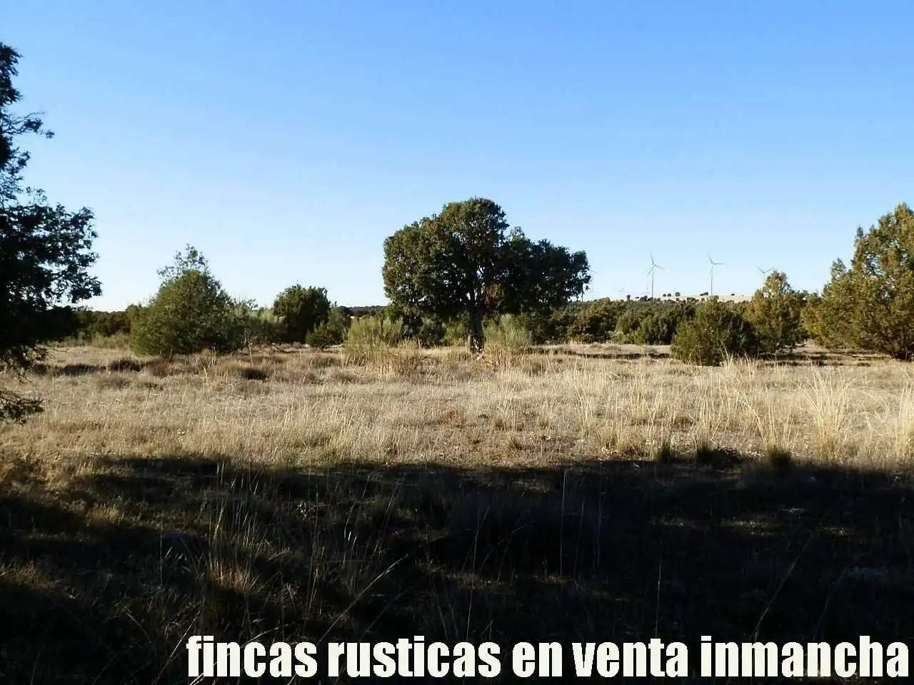 Lands and plots for sale in Ossa de Montiel, imagen 26