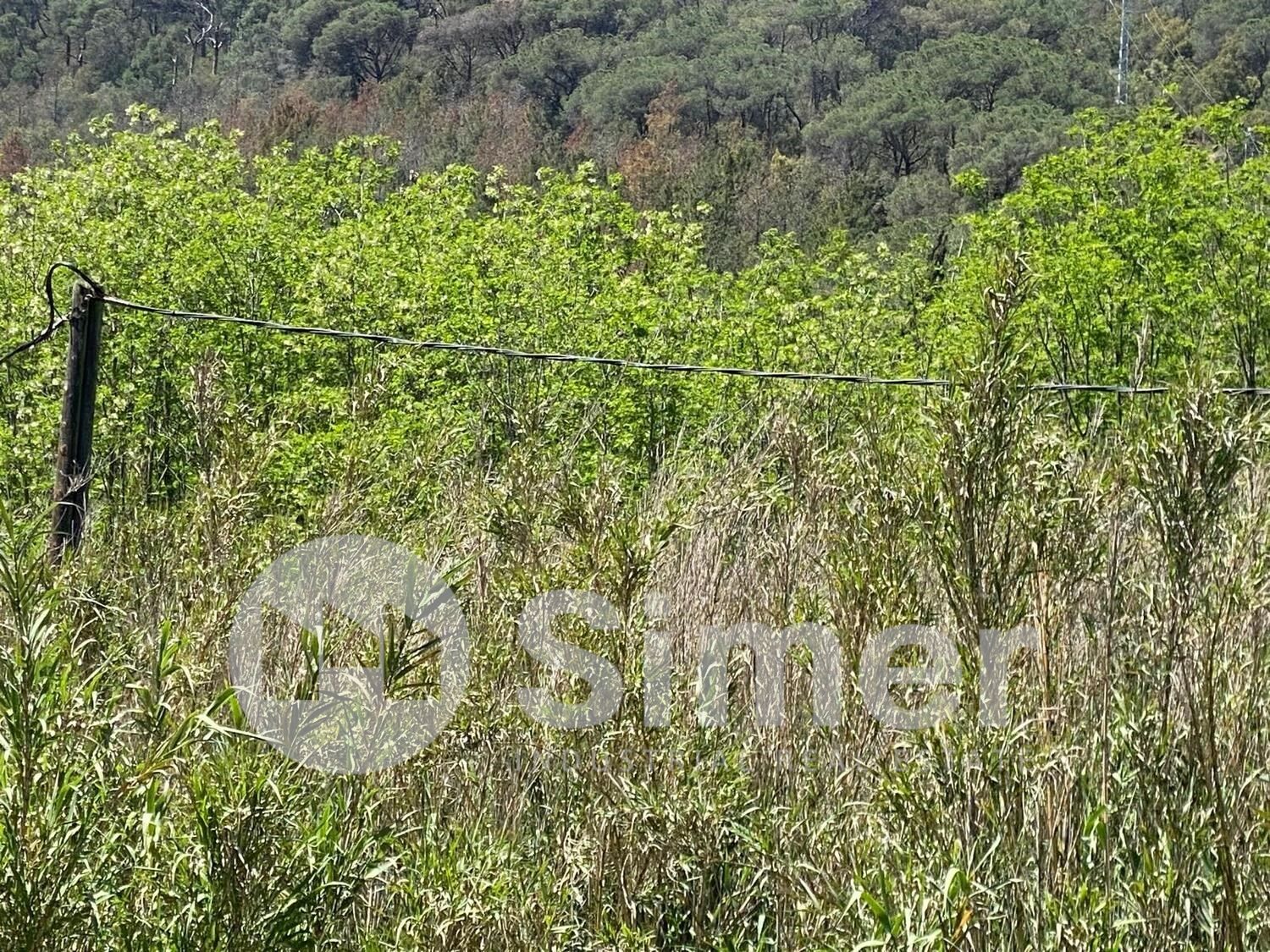 Industrial land for sale in Dosrius