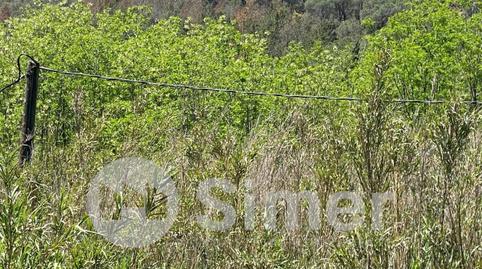 Photo 3 of Industrial land for sale in B-510 Km 2,02 de Argentona a Dosrius, Dosrius poble, Barcelona