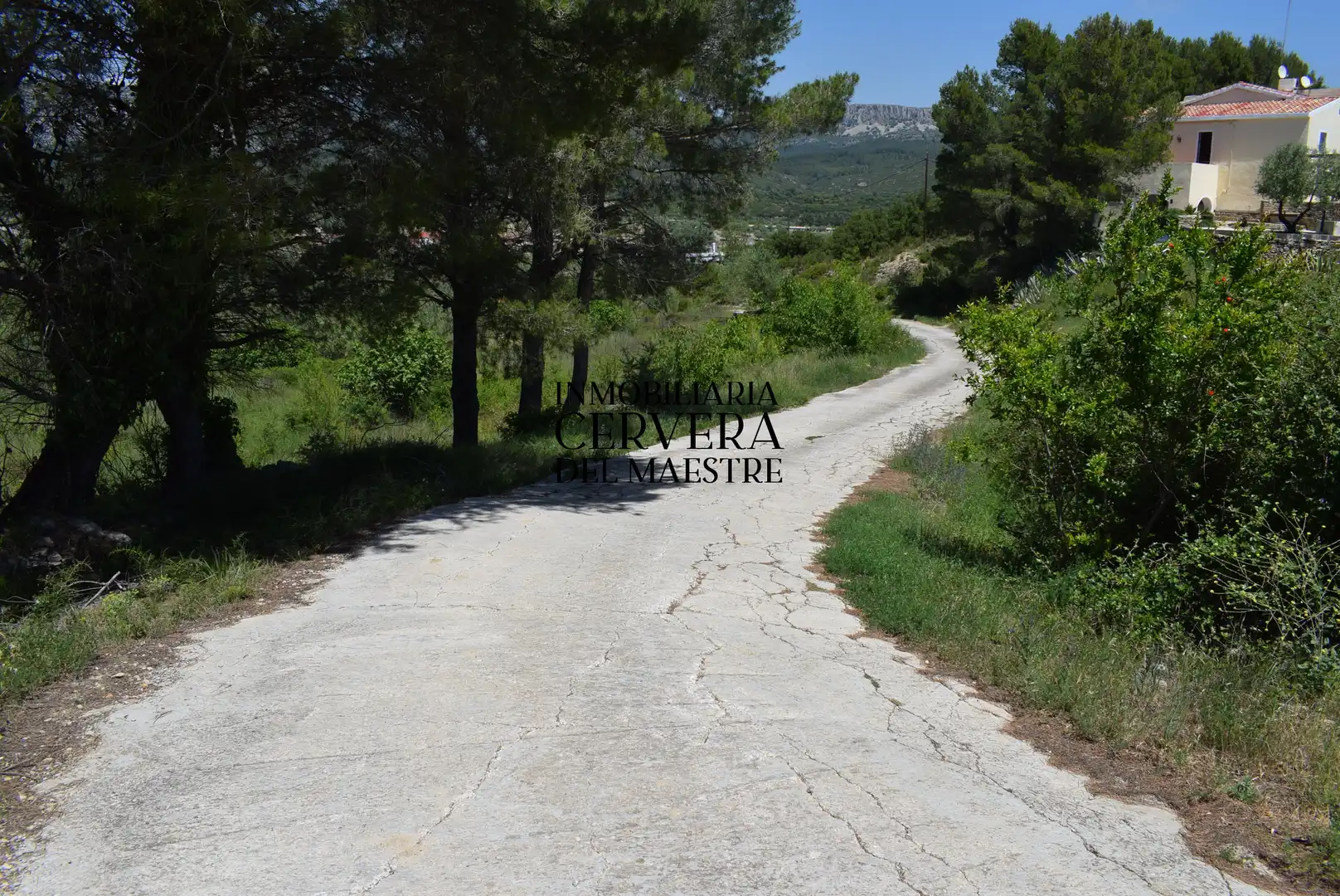 Vista exterior de Finca rústica en venta en Xert