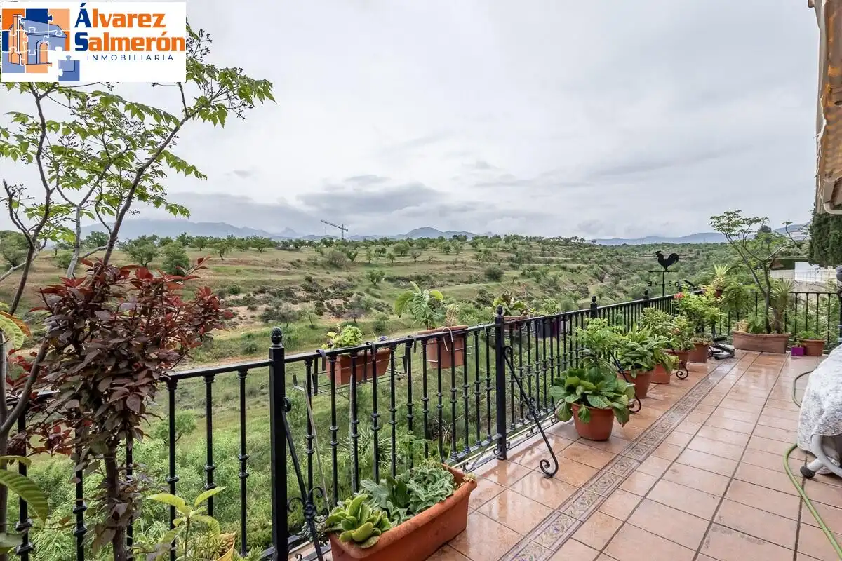 Detached house with terrace for sale in Calle Calle Sauce, imagen 40