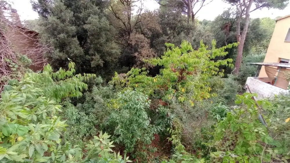 Terreno residenziale in vendita a Carrer Llinars, imagen 2